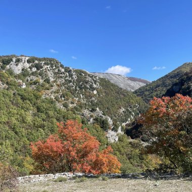 Oasi Affiliata WWF Gole Del Cervati