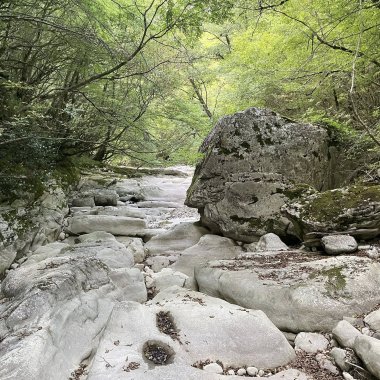 Oasi Affiliata WWF Gole Del Cervati