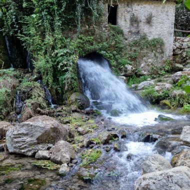 Il fiume che riemerge: Oasi WWF Morigerati
