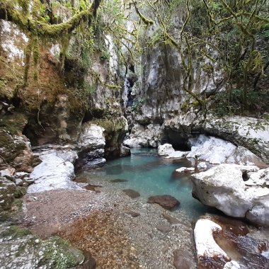 Il fiume che riemerge: Oasi WWF Morigerati